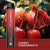 ENE Legend 3500 Mesh Disposable Vape Pod Puff Bar - Passion Fruit Mojito -Vape Area UK